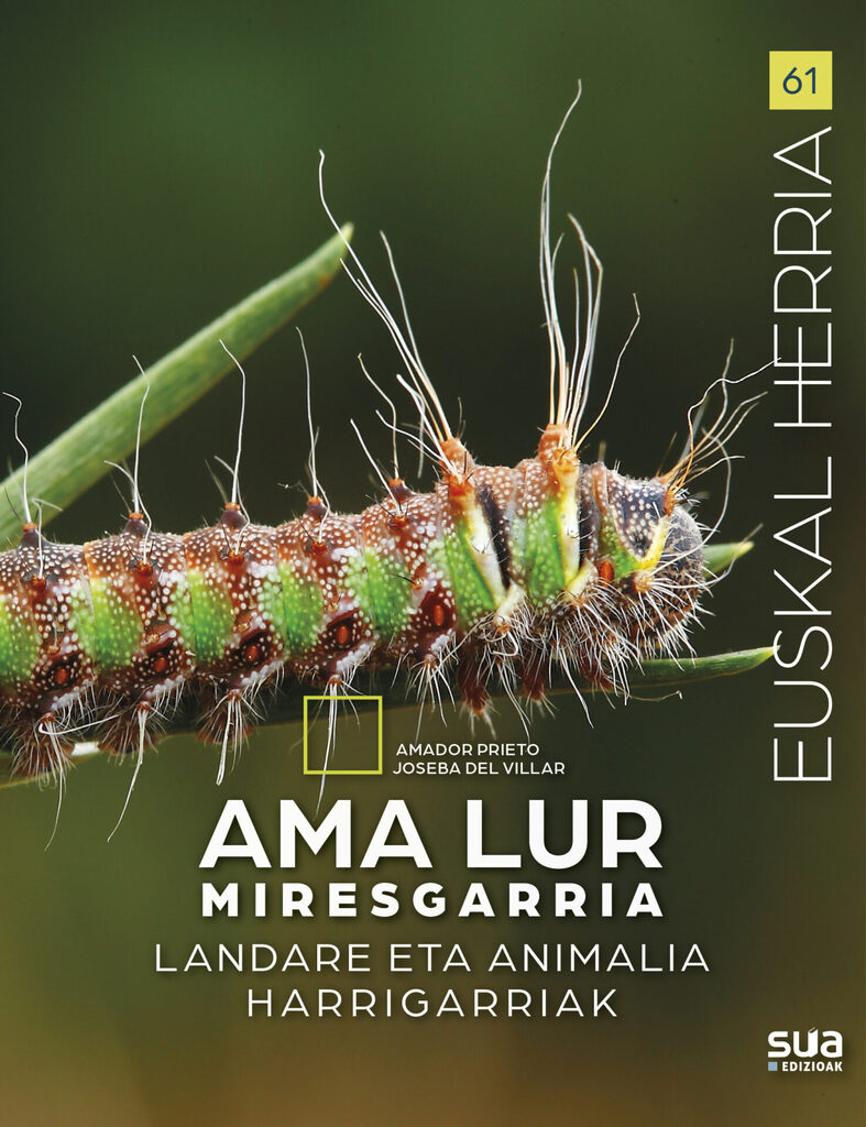 Ama lur miresgarria