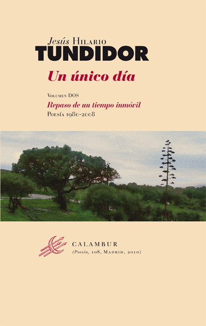 Un único día