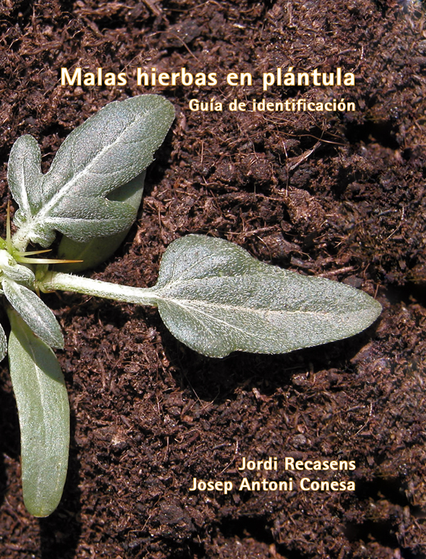 L'herbari: arbres, arbusts i lianes