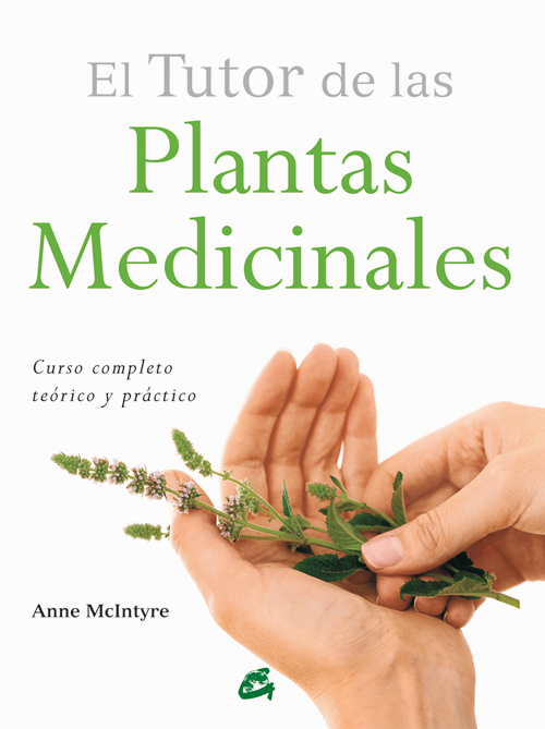 Los fundamentos de la medicina china