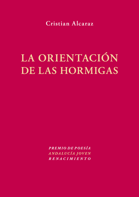 La orientación de las hormigas