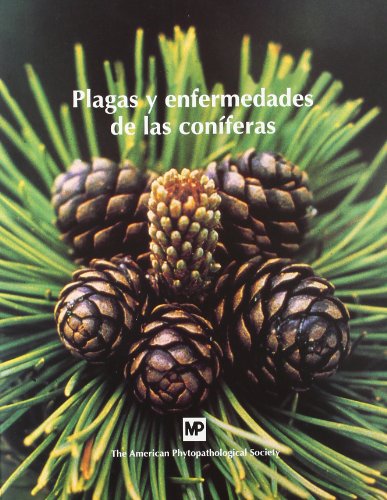 Plagas y enfermedades de las coníferas