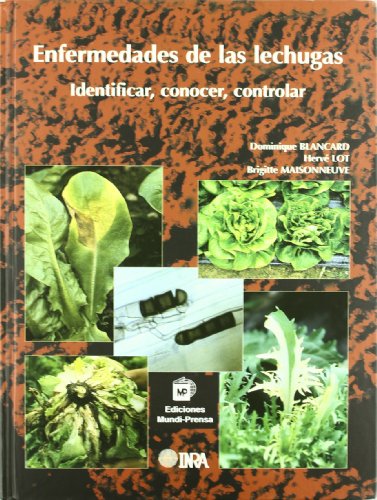 Enfermedades de las lechugas. Identificar, conocer y controlar