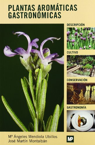 Hongos medicinales