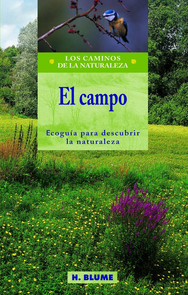 Jardinería con niños