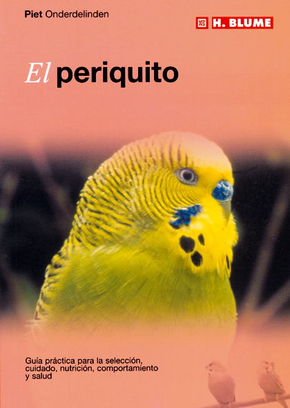 El canario