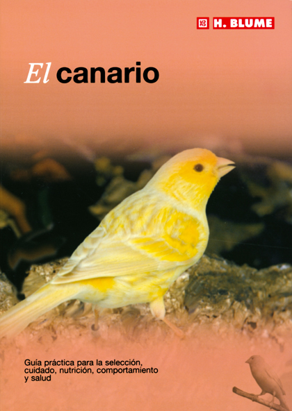 El canario El canario