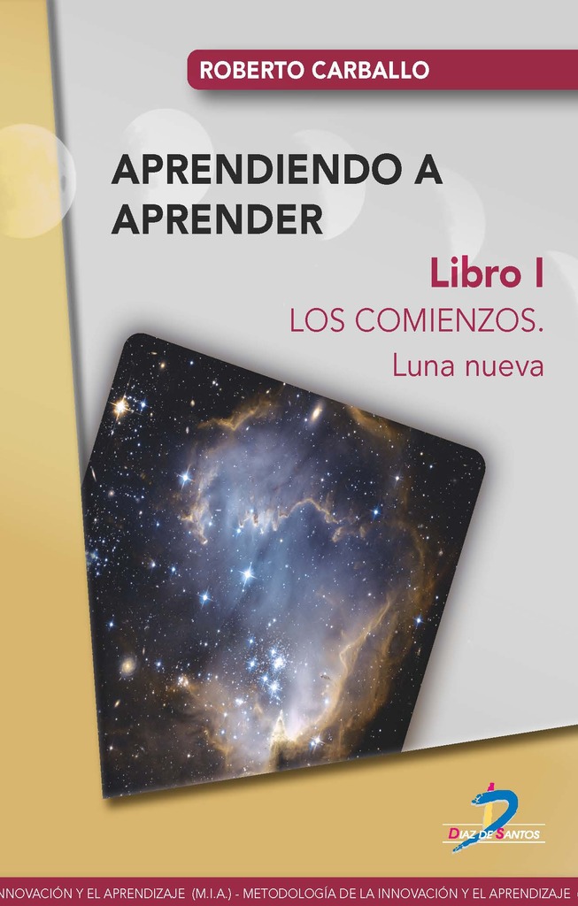Cómo capacitar excelentes docentes innovadores