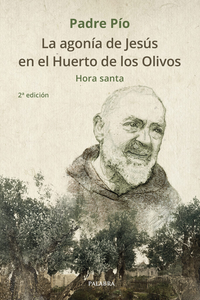Santa Teresita