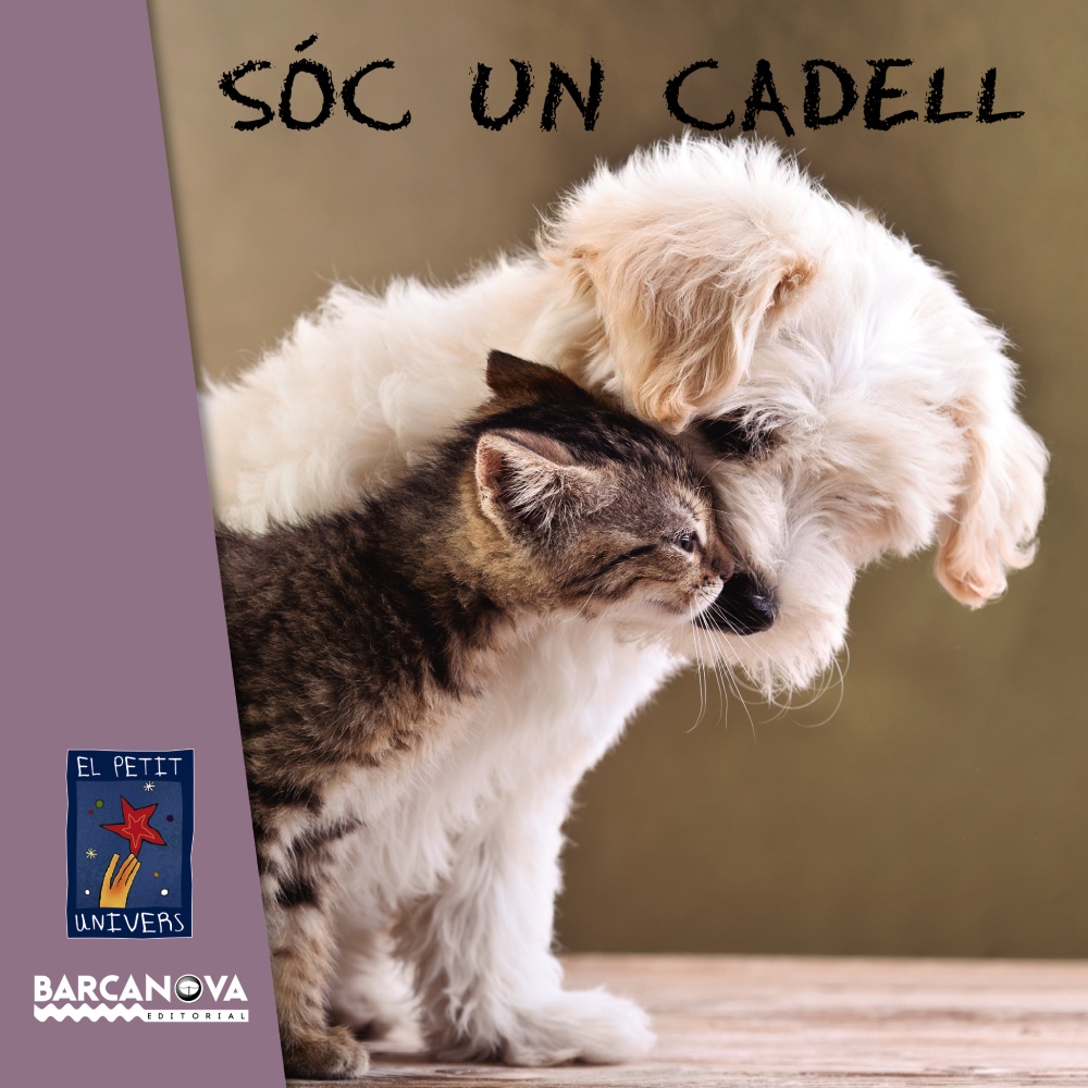 Soc un lleó