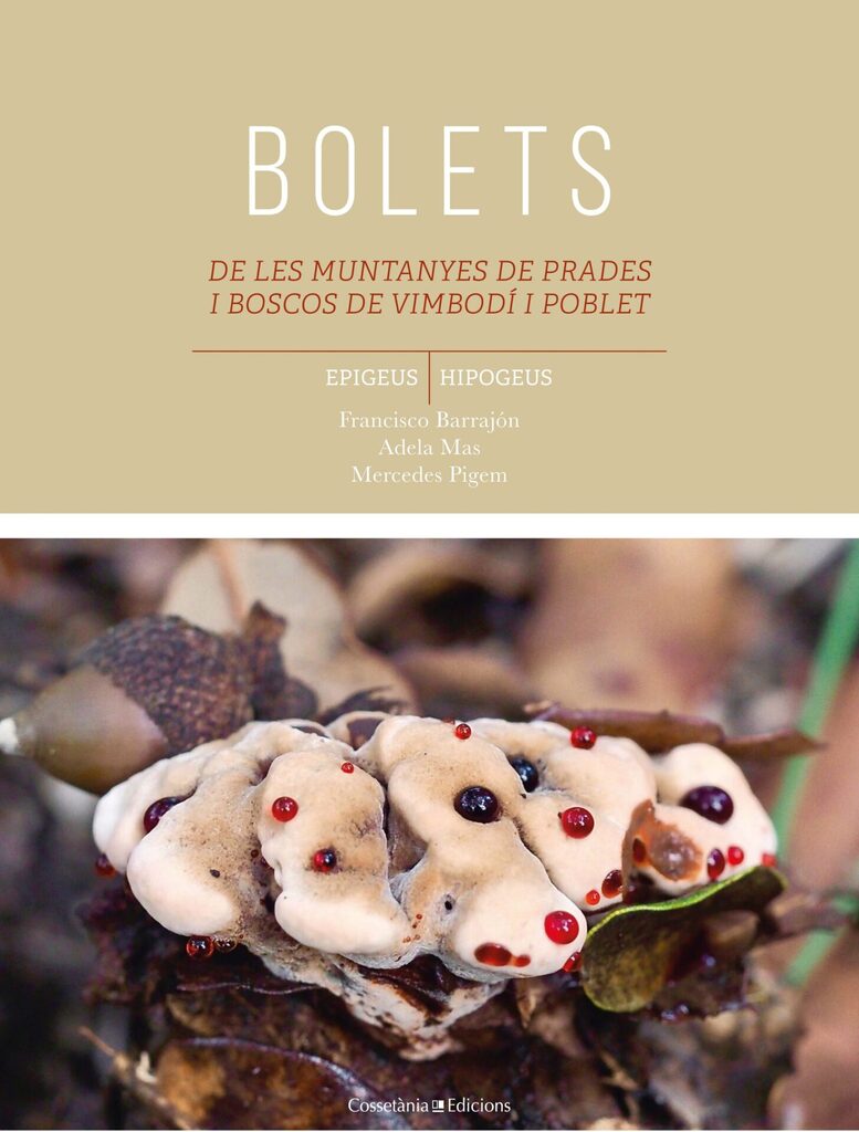 Els nostres bolets