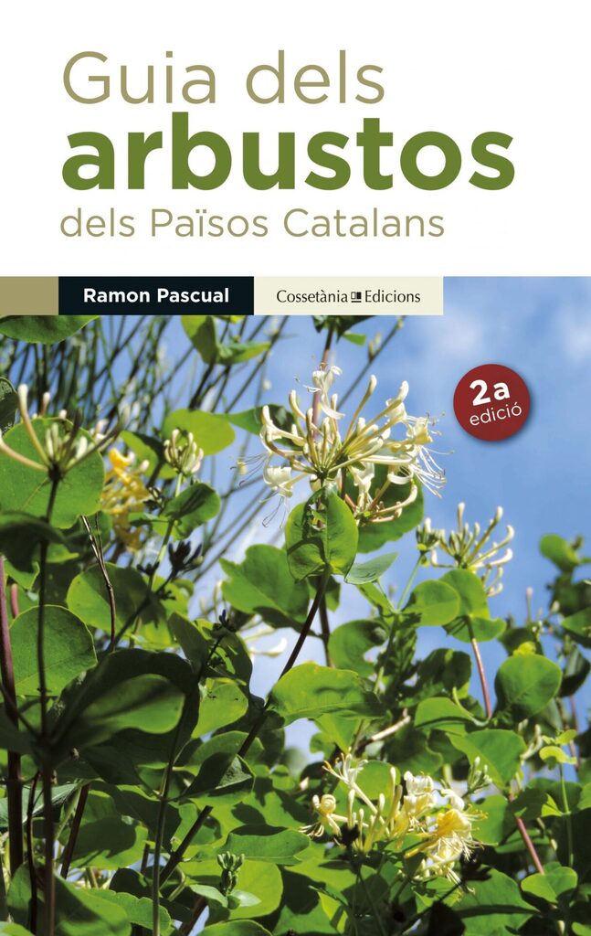 100 arbres fàcilment identificables