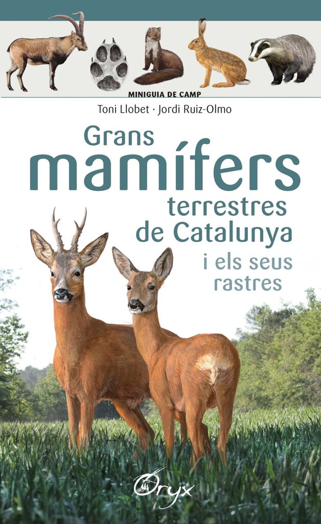 Mamífers de Catalunya