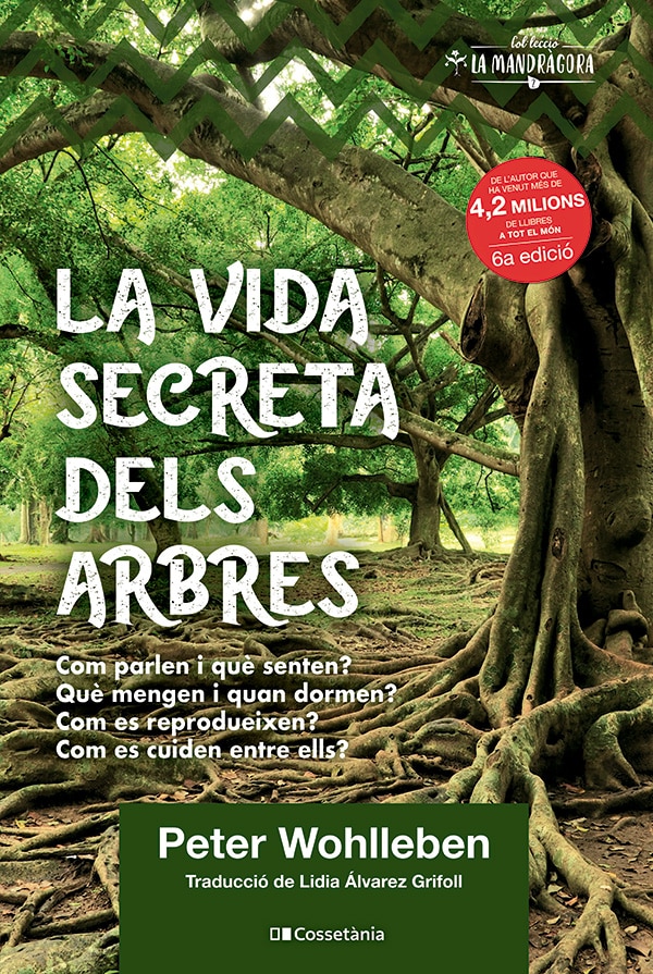 La vida secreta dels arbres