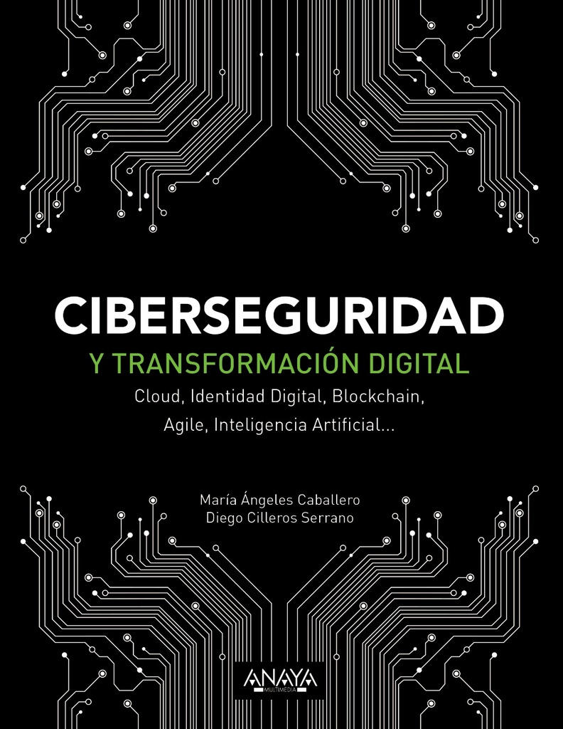 Ciberseguridad y transformación digital