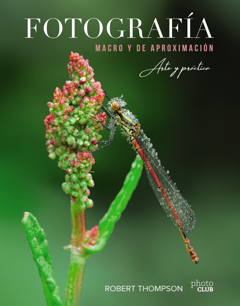 El arte de la fotografía Boudoir