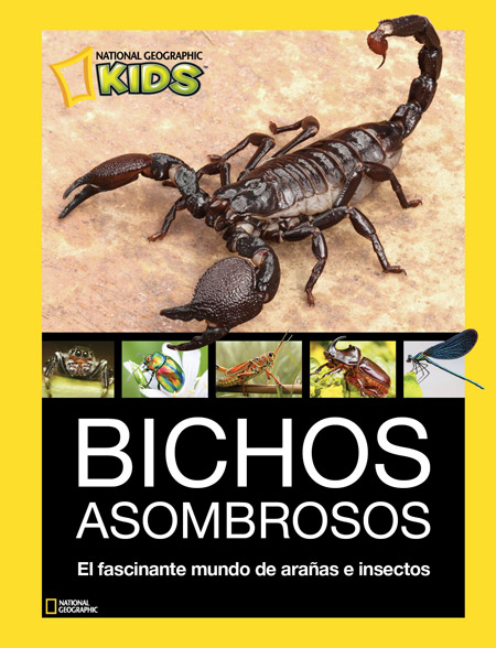 Estou ocupado!