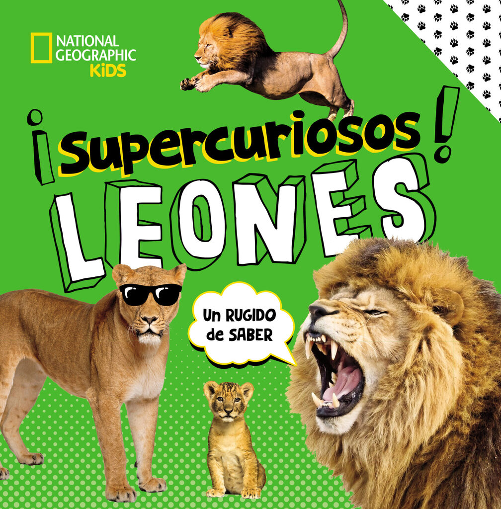Nieblagrís
