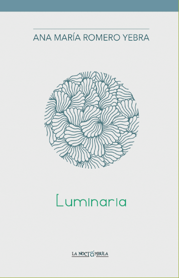 Luminaria Luminaria