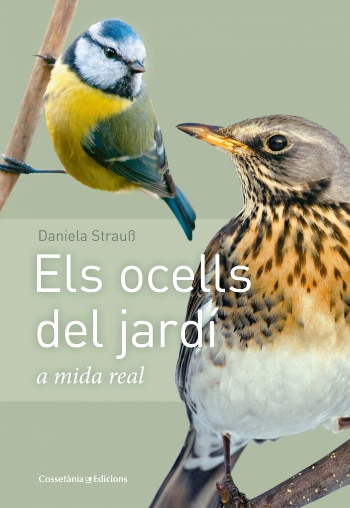 Els ocells del jardí