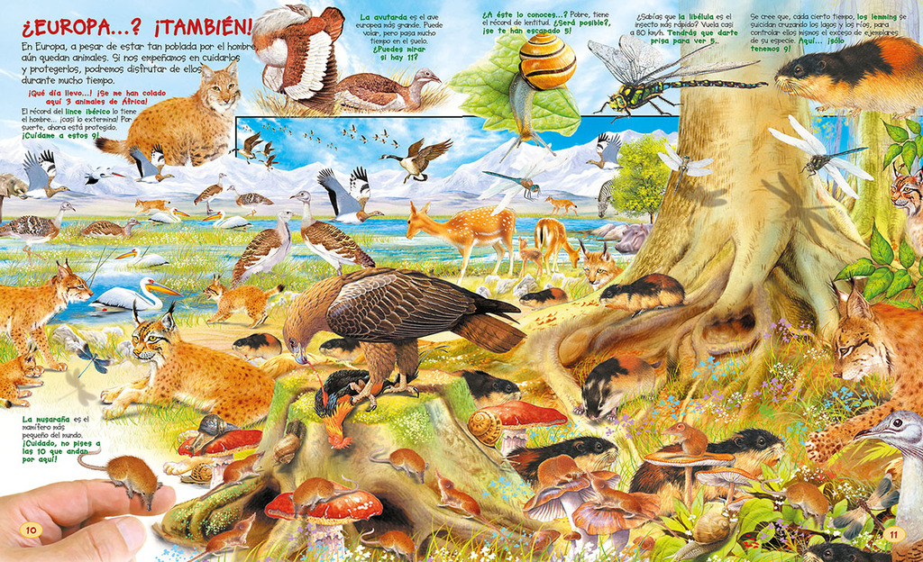 Busca los animales y sus récords Busca los animales y sus récords