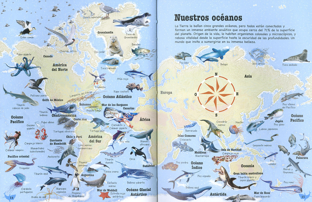 500 preguntas y respuestas sobre animales marinos 500 preguntas y respuestas sobre animales marinos