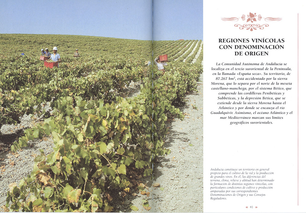 Vinos de Andalucía Vinos de Andalucía