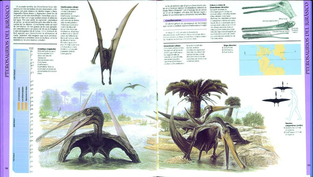 Pterosaurios Pterosaurios