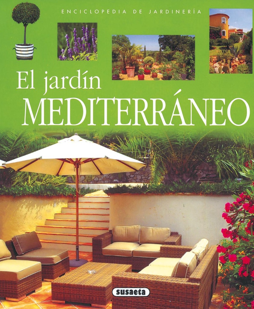 Plantas en maceta