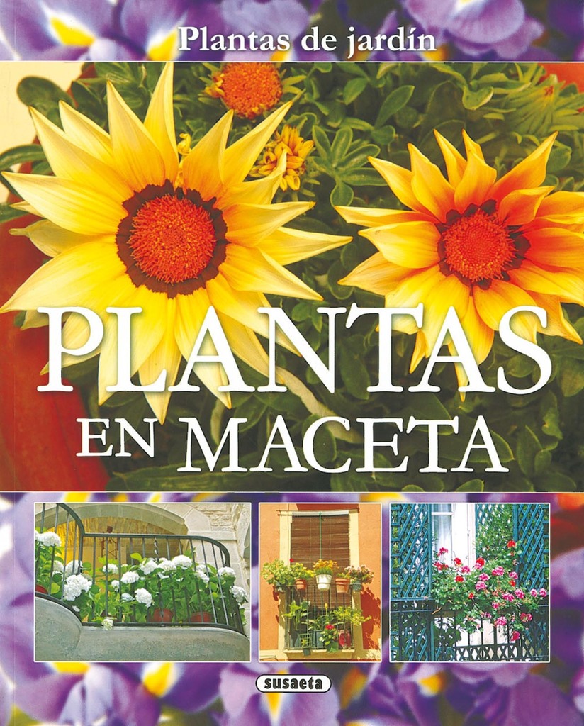 Plantas para patios