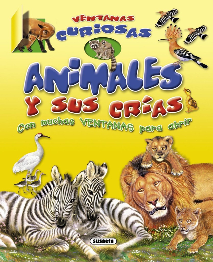 CABALLEROS