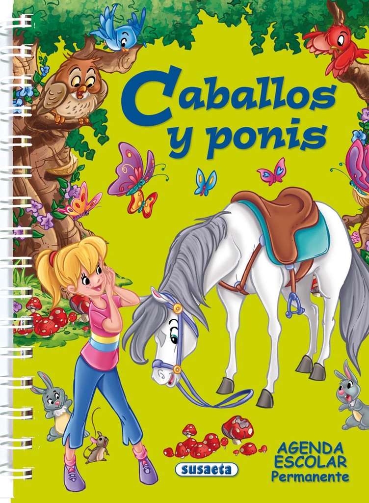El coche de carreras