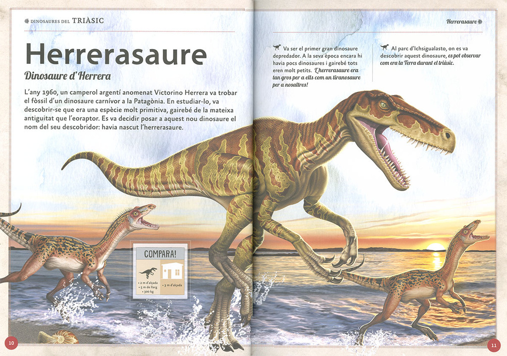 El magnífic llibre dels dinosaures El magnífic llibre dels dinosaures