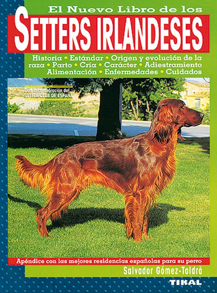 Setters irlandeses