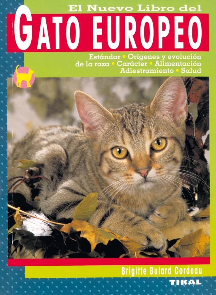 Gato persa