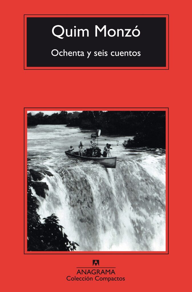 Pájaros a punto de volar