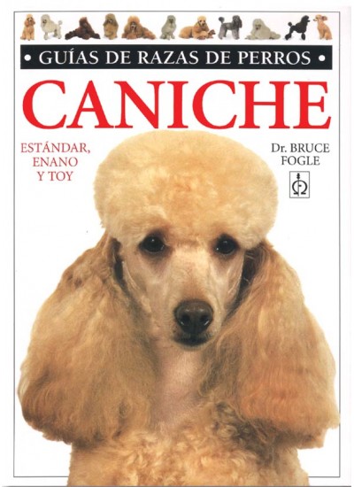 Últimos años de mi perro