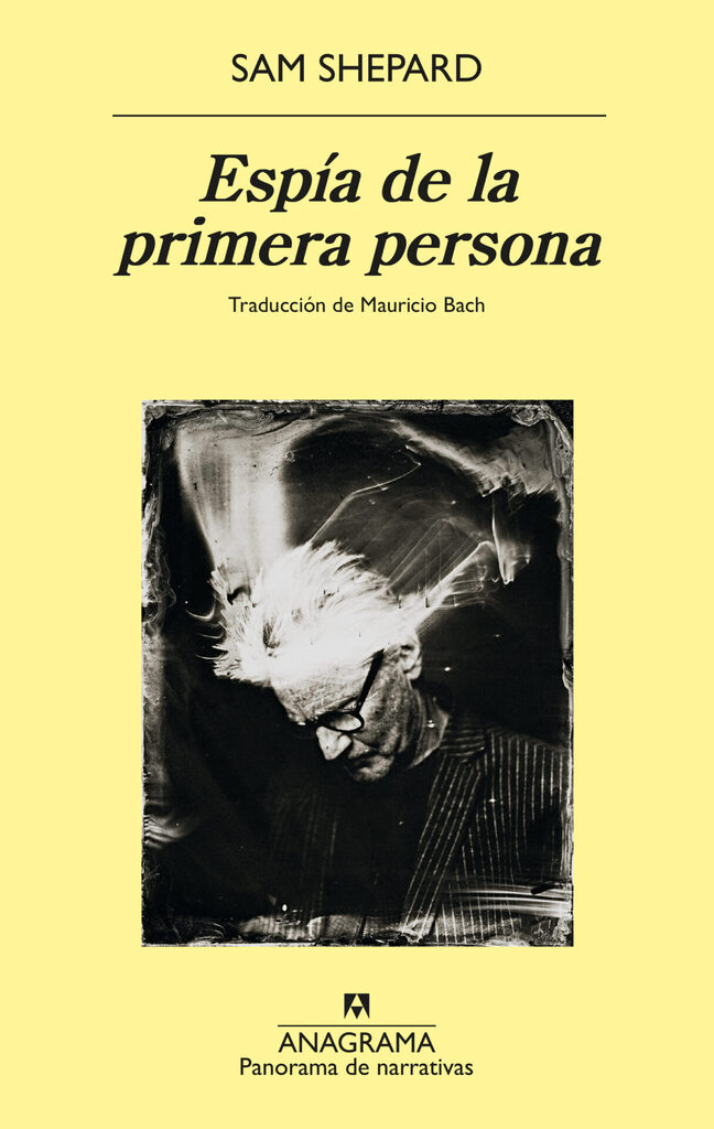Espía de la primera persona Espía de la primera persona
