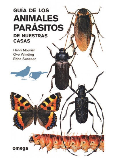 INSECTOS Y ARAÑAS. GUÍA DE BOLSILLO