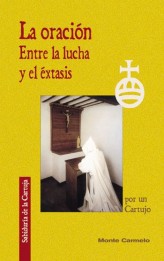 Ediht Stein. Obras Completas II