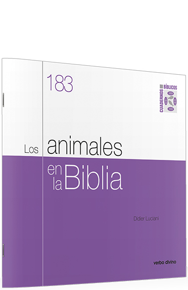 Conectados con Jesús