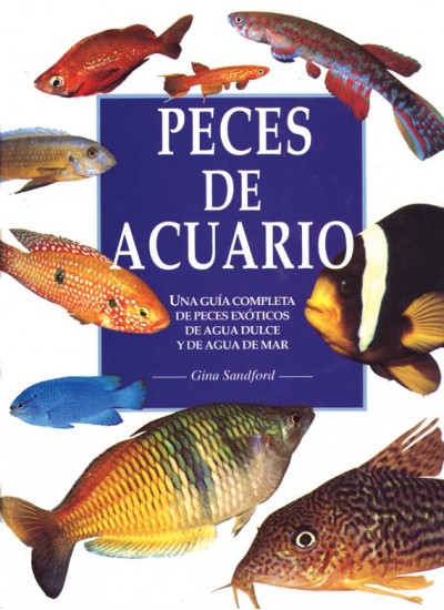 Peces payaso y anémonas de mar