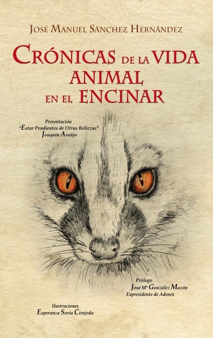 Arcoiris de animales