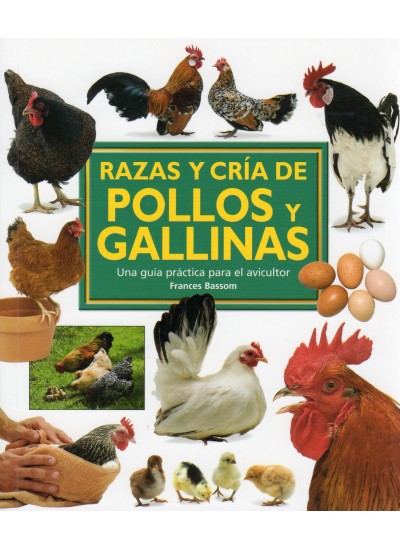 La cría del avestruz