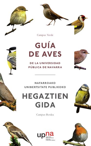 Guía para atraer a las aves a su jardín