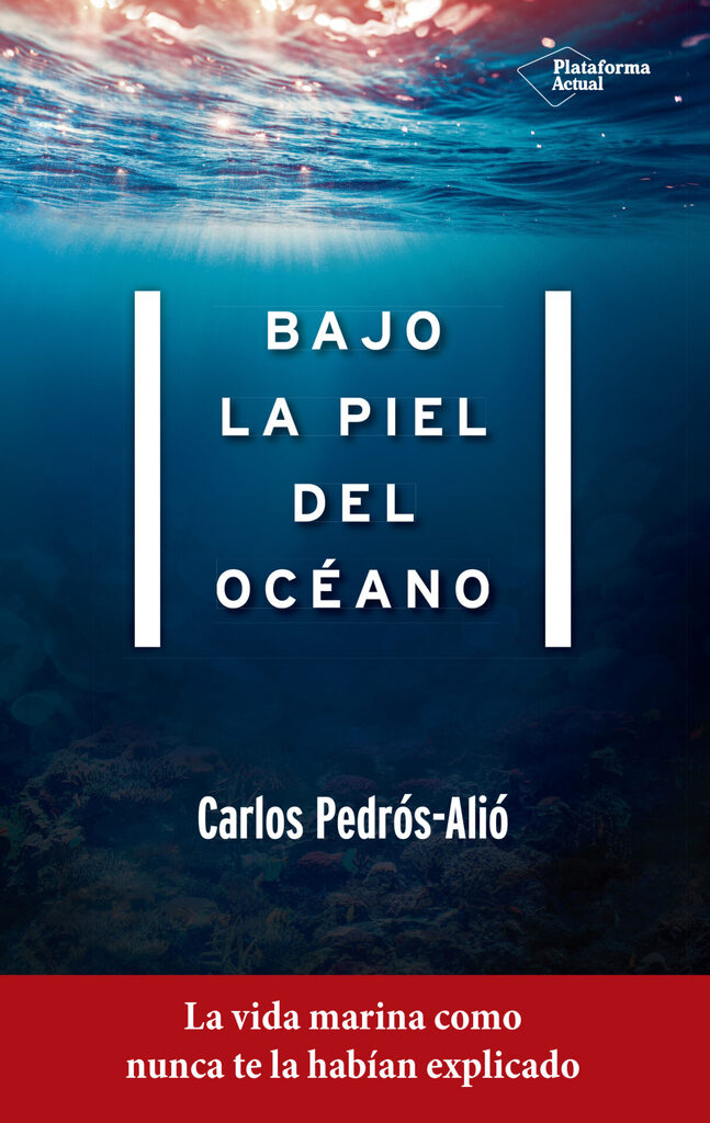Partículas elementales