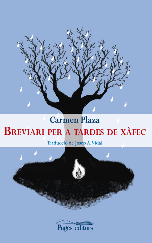 L'avís de l'àngel