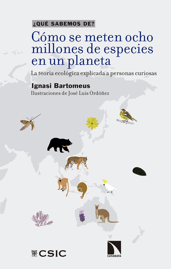 El plancton y las redes tróficas marinas