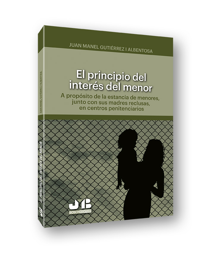 Un Common backstop para la Unión Bancaria (Papel + e-book)