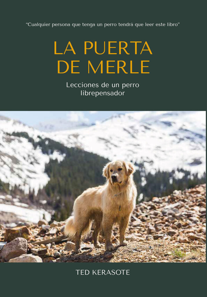 Potencia la mente de tu perro